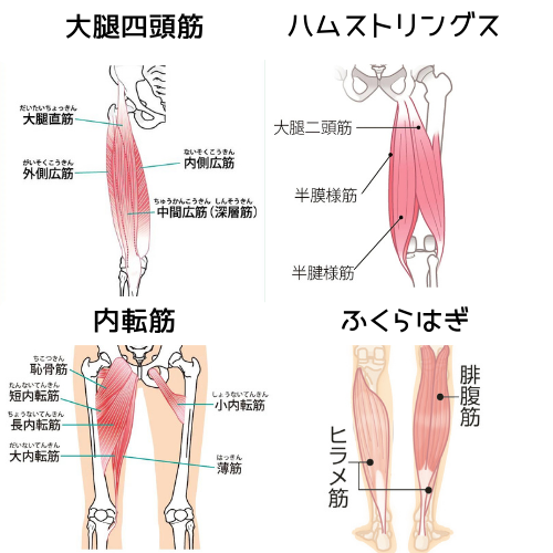 肉離れ　筋肉