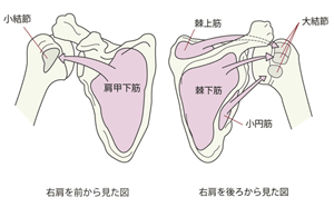 上石神井　四十肩　五十肩