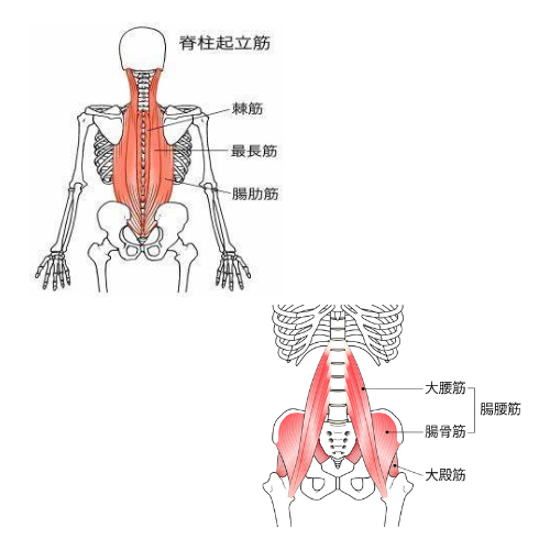 上石神井　腰痛