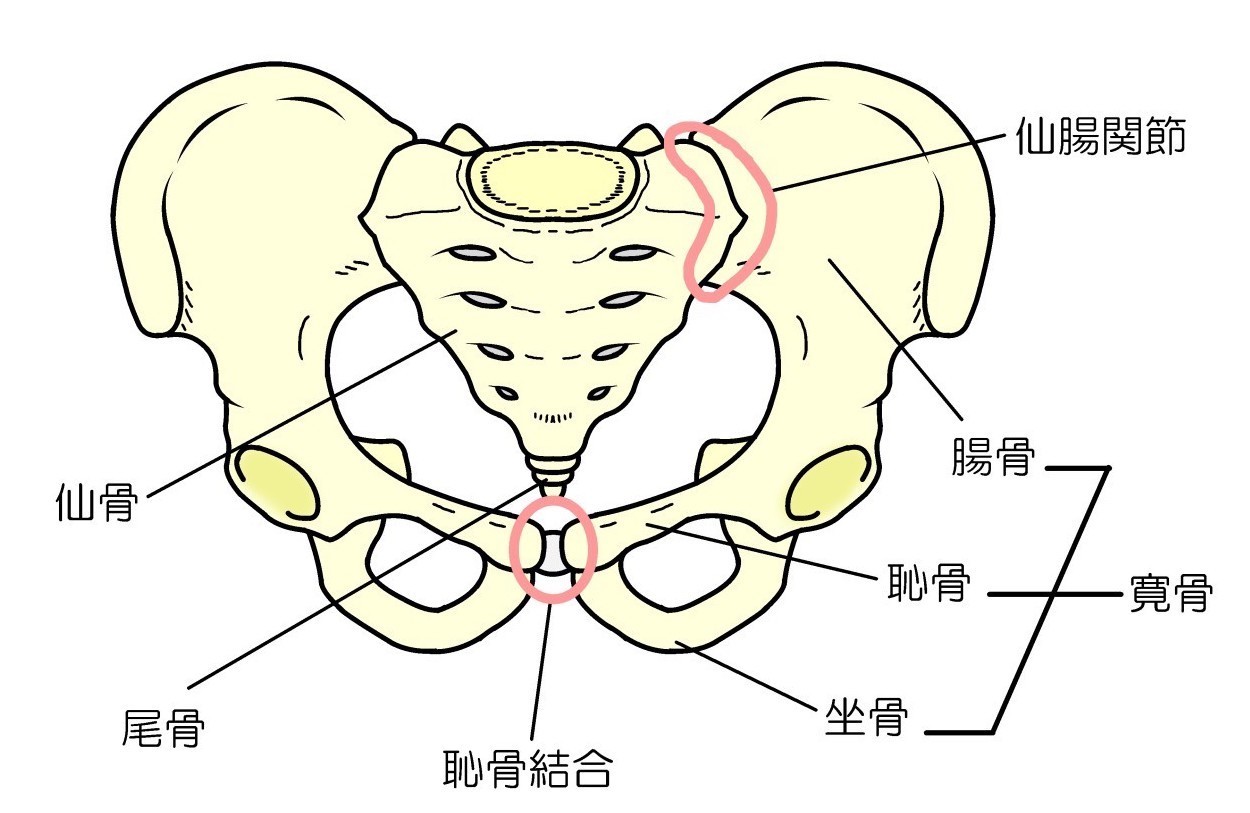 上石神井　骨盤矯正