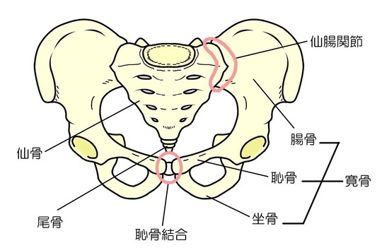 上石神井　骨盤矯正